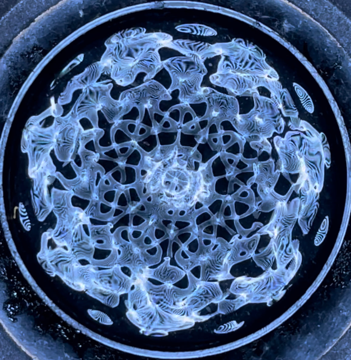 Blue-lit ripples forming a symmetrical cymatic pattern on water